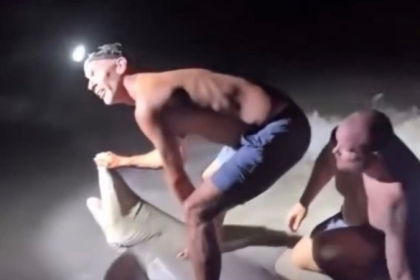 Pescador mordido por un tiburón limón mientras posaba para una foto