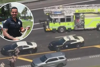 Muere en accidente el oficial de Miami Beach David Cajuso